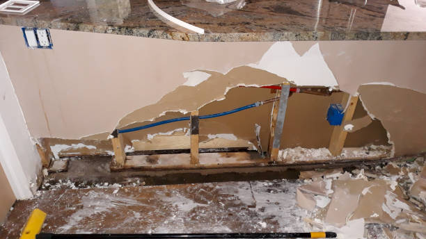 Best Emergency water damage restoration  in Petersburg, AK